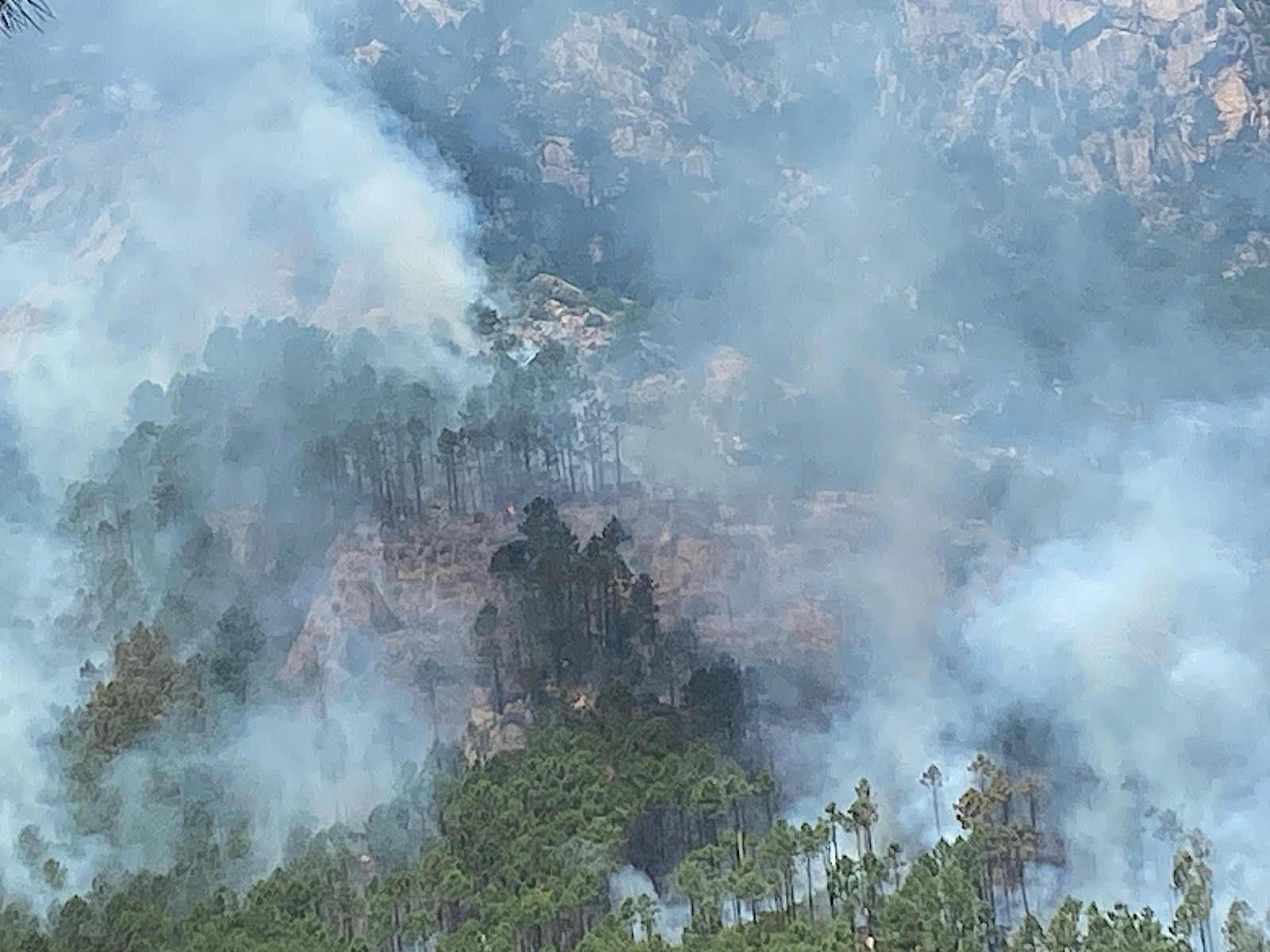 Incendies dévastateurs dans le nord de la Corse : une catastrophe inédite