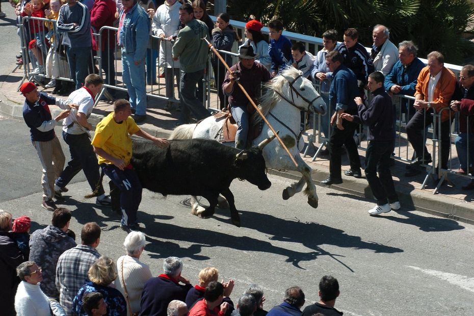 Tragique Décès d’un Journaliste Sportif lors d’une Fête Taurine : Une Tradition Meurtrière en Camargue